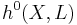  h^0(X,L)