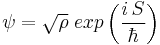 \psi = \sqrt{\rho} \;  exp \left(  \frac{i \, S}{\hbar} \right) 