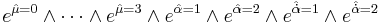 e^{\hat{\mu}=0}\wedge \cdots \wedge e^{\hat{\mu}=3} \wedge e^{\hat{\alpha}=1} \wedge e^{\hat{\alpha}=2} \wedge e^{\hat{\dot{\alpha}}=1} \wedge e^{\hat{\dot{\alpha}}=2}