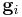 \mathbf{g}_i