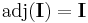 \mathrm{adj}(\mathbf{I}) = \mathbf{I}\,