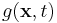 g(\mathbf{x},t)