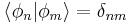 \langle\phi_n|\phi_m\rangle = \delta_{nm}