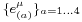 \scriptstyle\{e_{(a)}^{\mu}\}_{a=1\dots4}