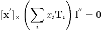 
[{\mathbf x}^']_{\times} \left( \sum_i x_i {\mathbf T}_i \right) {\mathbf l}^{''} = {\mathbf 0}
