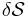 \delta\mathcal{S}