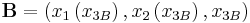 \mathbf{B}=\left(x_1\left(x_{3B}\right),x_2\left(x_{3B}\right),x_{3B}\right) \ 