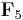 \mathbf{F}_5