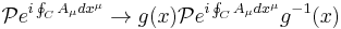 \mathcal{P}e^{i \oint_C A_\mu dx^\mu} \to g(x) \mathcal{P}e^{i \oint_C A_\mu dx^\mu} g^{-1}(x)\,