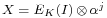 \scriptstyle X \;=\; E_{K}(I) \,\otimes\, \alpha^j