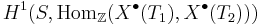 H^1(S, \mathrm{Hom}_\mathbb{Z} (X^\bullet(T_1), X^\bullet(T_2)))