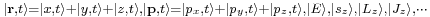 \scriptstyle { | \mathbf{r},t \rangle = | x,t \rangle %2B | y,t \rangle %2B | z,t \rangle, | \mathbf{p},t \rangle = | p_x,t \rangle %2B | p_y,t \rangle %2B | p_z,t \rangle, | E \rangle, | s_z \rangle, | L_z \rangle, | J_z \rangle, \cdots } 