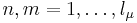 n,m=1,\ldots,l_\mu