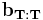 \mathbf{b_{T:T}}