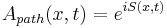 A_{path}(x,t) = e^{i S(x,t)}