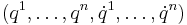 (q^1,\ldots,q^n,\dot q^1,\ldots,\dot q^n)