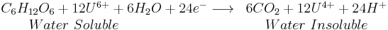 
\begin{array}{lcr}
C_6H_{12}O_6 %2B 12 U^{6%2B} %2B 6H_2O %2B24 e^- \longrightarrow& 6CO_2 %2B 12 U^{4%2B} %2B 24H^%2B \\
\qquad Water\ Soluble    & Water\ Insoluble 
\end{array}
