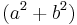 (a^2 %2B b^2)\,