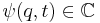 \psi(q,t)\in\mathbb{C}