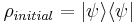 \rho_{initial} = |\psi\rangle\langle\psi|