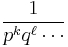 \frac{1}{p^k q^\ell \cdots}