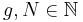 g, N \in \mathbb{N}