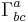 \Gamma^{a}_{bc}