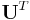 \mathbf{U}^T