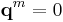 \mathbf{q}^m = 0 