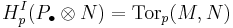 H^I_p(P_\bull \otimes N) = \mbox{Tor}_p(M,N)