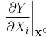 \left| \frac{\partial Y}{\partial X_i} \right |_{\textbf {x}^0 }