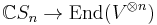 \mathbb{C}S_n \rightarrow \text{End} (V^{\otimes n})