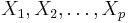 X_1, X_2, \ldots, X_p 