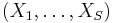 (X_{1},\ldots,X_{S})