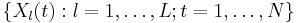 \{X_{l}(t): l=1,\dots, L;  t=1,\dots, N\}