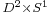 \scriptstyle D^2\times S^1