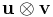 \mathbf{u} \otimes \mathbf{v}