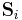 \mathbf{S}_{i}