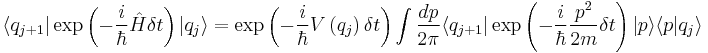 
   \langle q_{j%2B1} | \exp\left( {- {i \over \hbar } \hat H \delta t} \right) |q_j\rangle =
\exp\left( {- {i \over \hbar } V \left( q_j \right) \delta t} \right)
 \int { dp \over 2\pi } \langle q_{j%2B1} | \exp\left( {- {i \over \hbar } { { p}^2 \over 2m} \delta t} \right)  |p\rangle \langle p |q_j\rangle 
