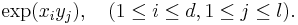 \exp(x_i y_j),\quad (1\leq i\leq d, 1\leq j\leq l).