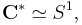 \mathbf{C}^* \simeq S^1,