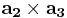 \mathbf{a_{2}} \times \mathbf{a_{3}}