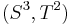 (S^3, T^2)