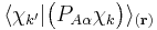 \langle\chi_{k'}|\big(P_{A\alpha}\chi_k\big)\rangle_{(\mathbf{r})}