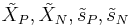 \tilde{X}_P, \tilde{X}_N, \tilde{s}_P, \tilde{s}_N