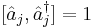 [\hat{a}_{j}, \hat{a}_{j}^\dagger] = 1