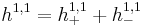 h^{1,1} = h^{1,1}_{%2B} %2B h^{1,1}_{-}