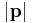 \left| \mathbf{p} \right|