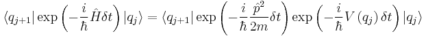 
   \langle q_{j%2B1} | \exp\left( {- {i \over \hbar } \hat H \delta t} \right) |q_j\rangle =

 \langle q_{j%2B1} | \exp\left( {- {i \over \hbar } { {\hat p}^2 \over 2m} \delta t} \right) 
\exp\left( {- {i \over \hbar } V \left( q_j \right) \delta t} \right)|q_j\rangle 
