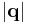 \left| \mathbf{q} \right|